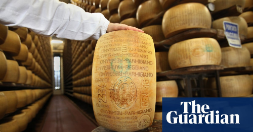 Cheese and chips: parmesan producers fight fakes with microtransponders