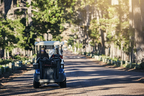 Golf Carts—Golf Carts!—Are the Transportation of the Future