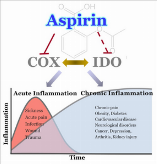 New insights into an old drug: Scientists discover why aspirin works so well