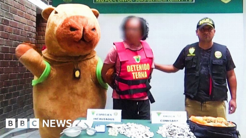 Peruvian policeman in capybara costume makes Valentine's drug bust