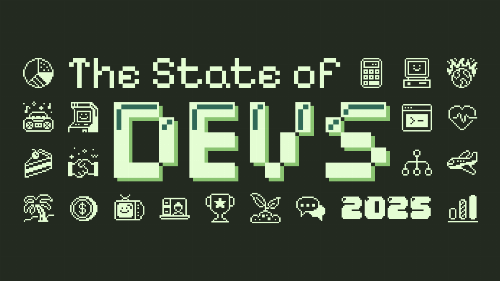 State of Devs: A Survey for Every Developer