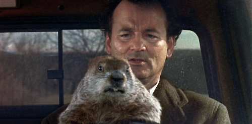 The pleasure and pain of cinephilia: what happened when I watched Groundhog Day every day for a year